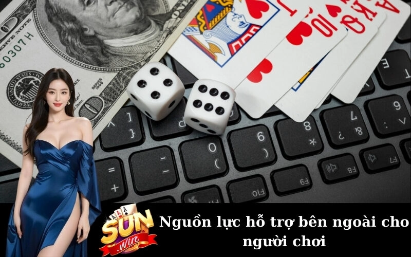 Nguồn lực hỗ trợ bên ngoài cho người chơi
